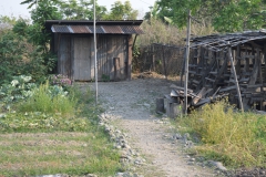 b3